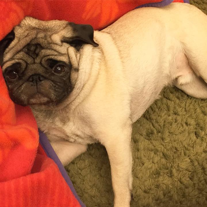 98194cde 634b 4536 80ce 4cf52b99a268