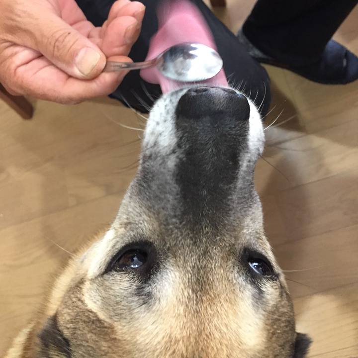 9819f0e9 bd12 42b4 b847 5411da986b47