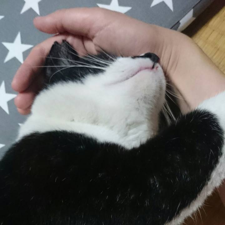 981a6b49 564b 4c17 bcdb fa2b60494661