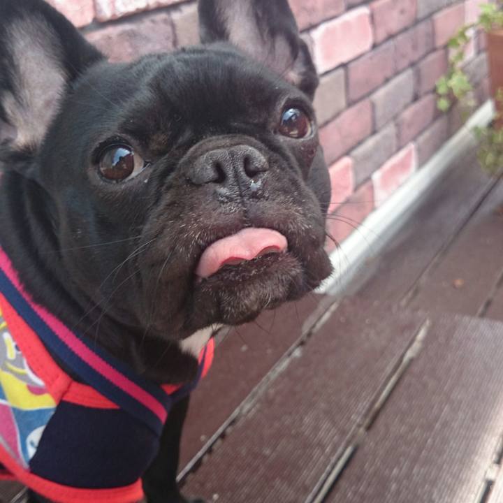 981a84f0 59d4 46af ad1a 3ed6621b1752