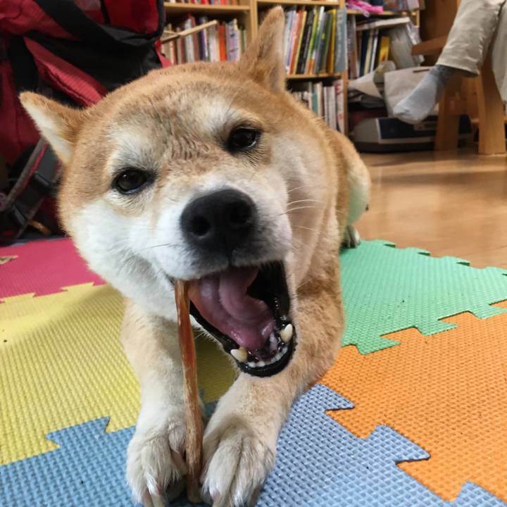 981bd772 bd83 44ca 9b00 8e41194cff66