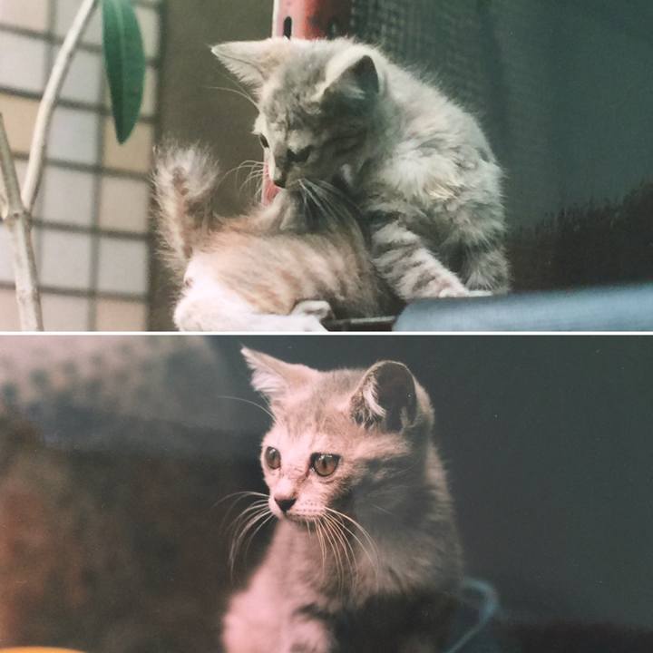 981c5828 ec97 4422 8dae 54aaf41c4c09