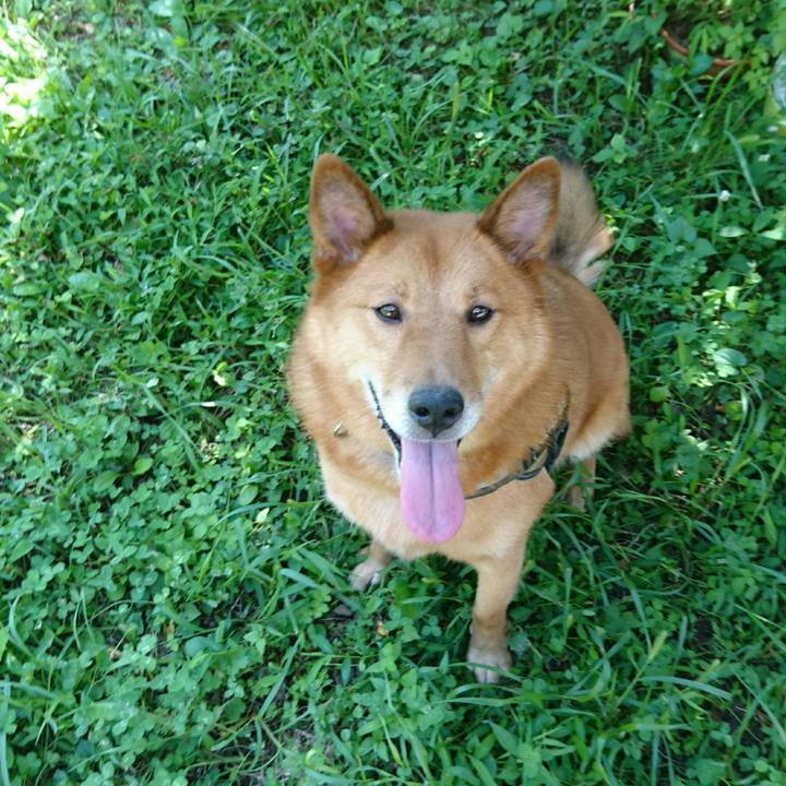 981caebe 65ab 43ee 9988 3cdefe961b48