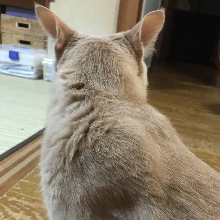 981caebe e3dd 462d 8288 7cbbb9bafe3f