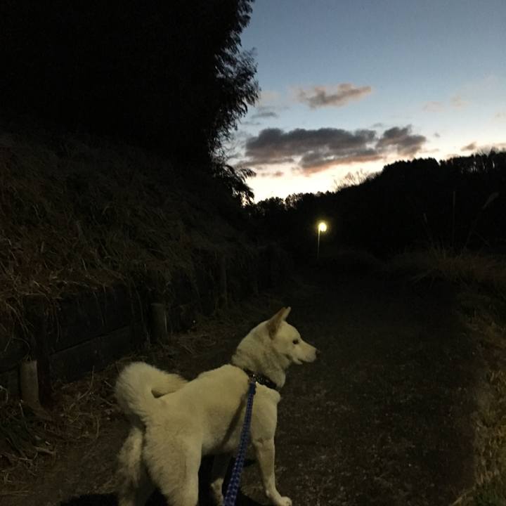 981cf4dd d2c6 4a3d 9db0 7f4aa041f730