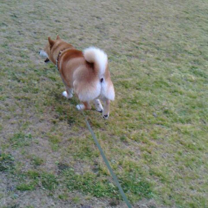 981d6429 165e 4be0 9b47 4fabbe2ca01a