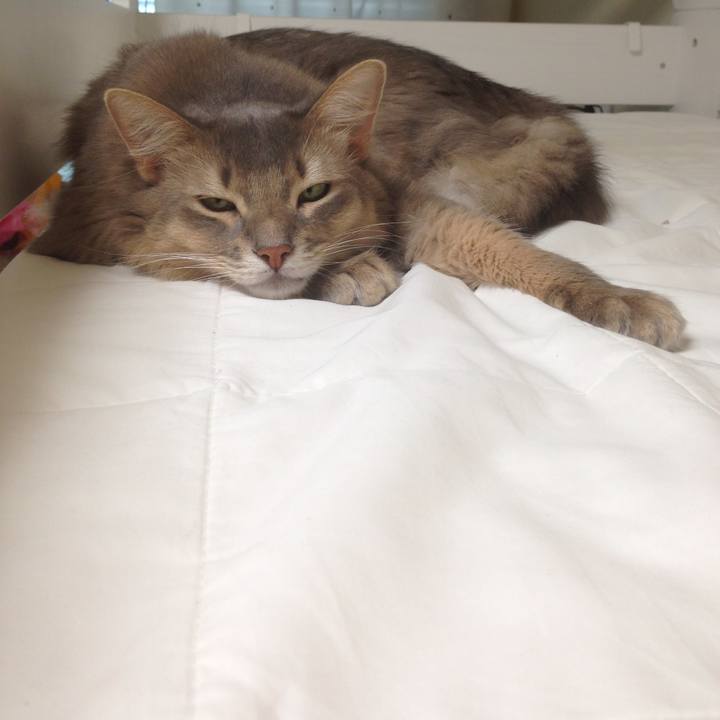 981d871c 4934 4fba 91b0 4bce8958ec93