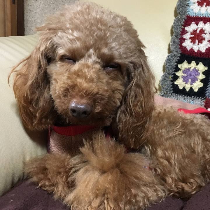 981ecad4 3112 4318 aa29 a905b7537cf6