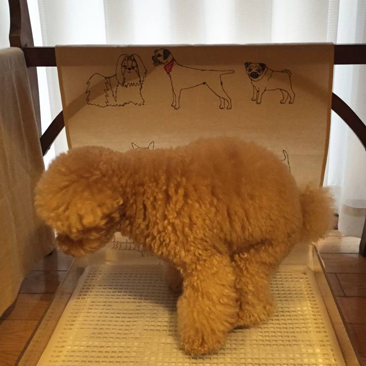 981ef272 1ce8 4514 948e 80f4e1134d09