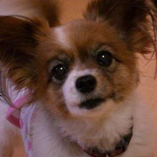 982041b0 724b 47a9 9e0d ecbfaf9233eb