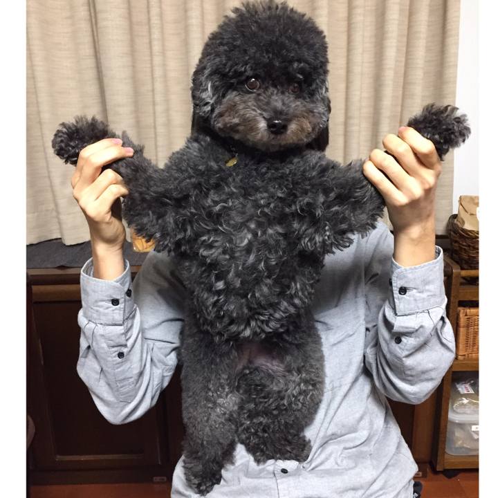 98205776 e264 4488 a1c2 628f7e8b12d3