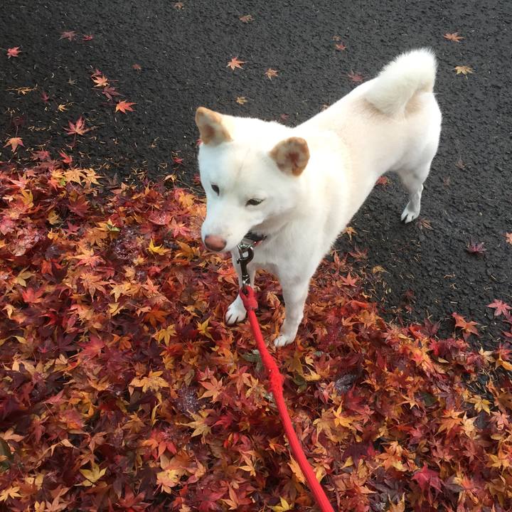 9820ac22 44d8 47d2 b75f 34964ecb7e17