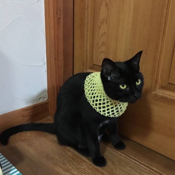 9820b8d4 015f 43e9 b3cd aaa7f07f1018