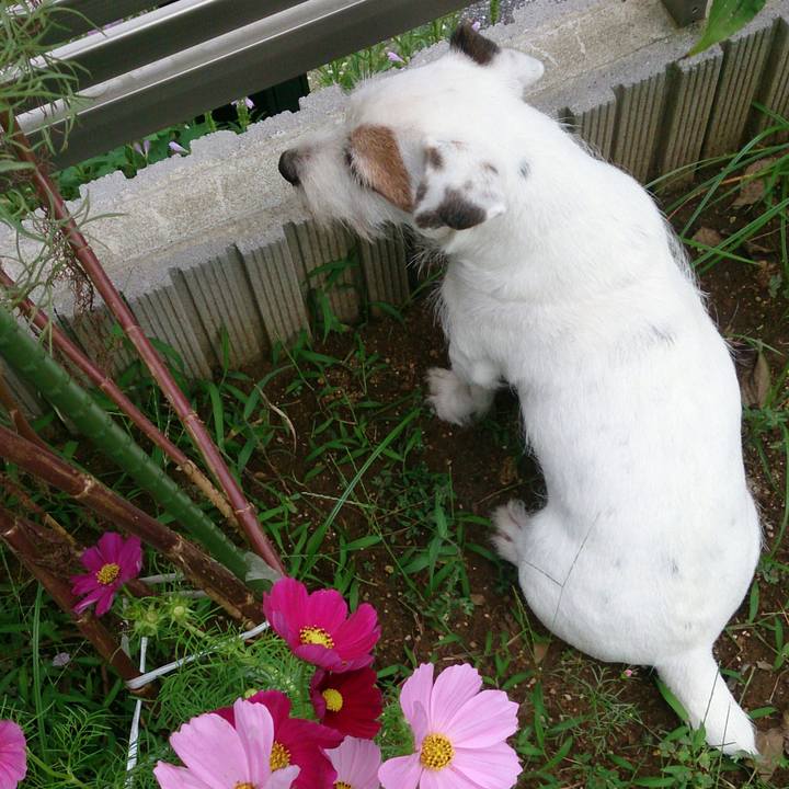 9820c525 b7f8 46c9 9b21 aadad9feeb17