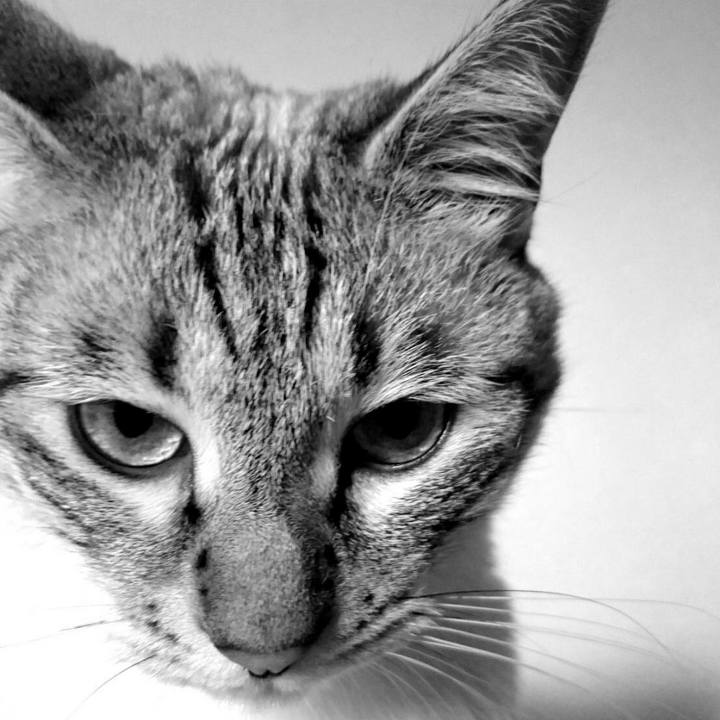 98215dfd 6833 4608 82e1 e50c7be689a5