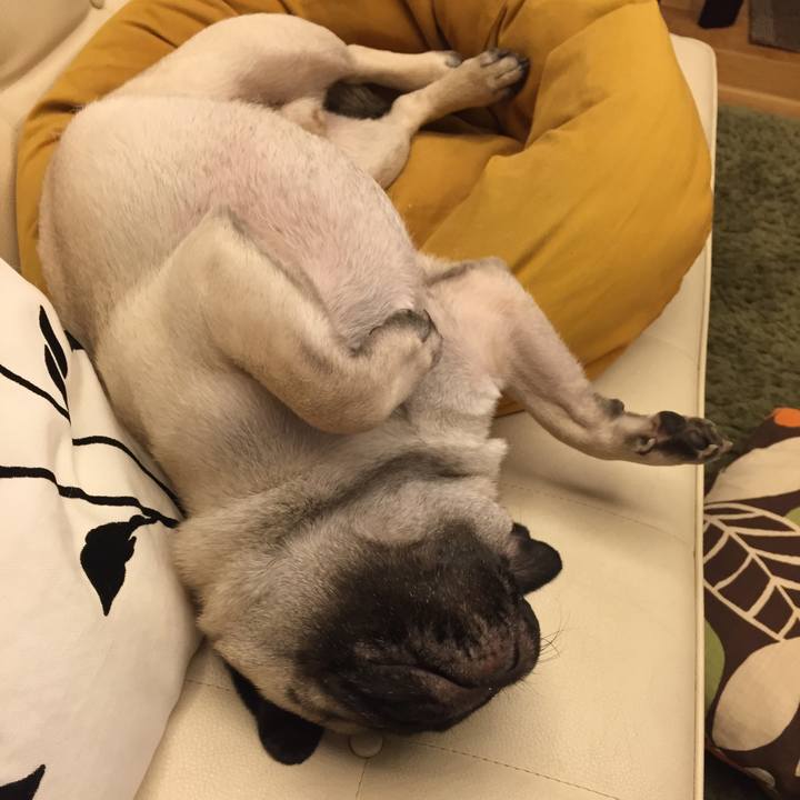 98215ecf f6bb 4fd2 b20b d773f83bd5f4