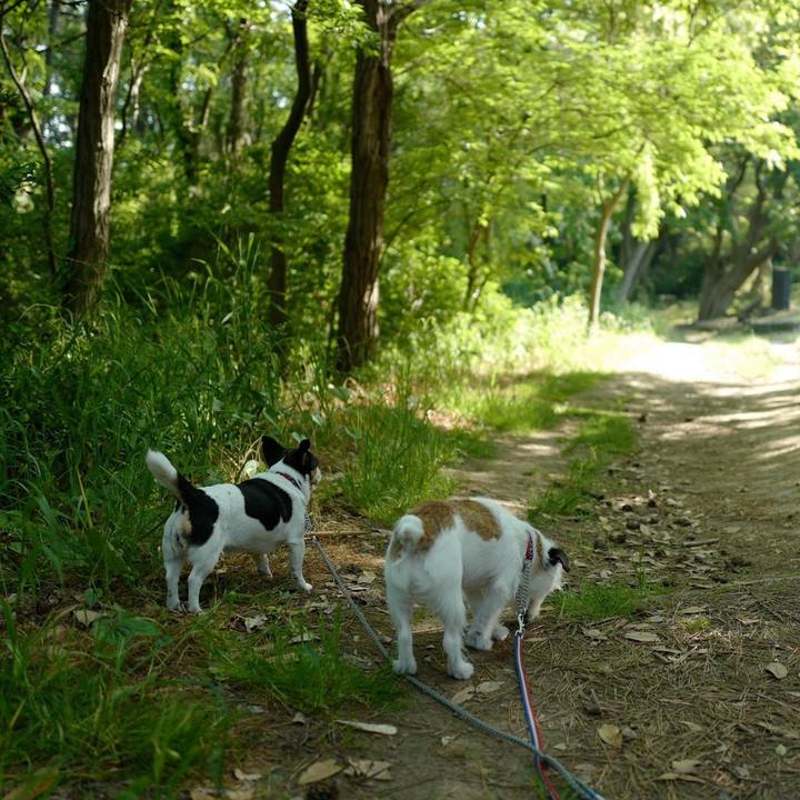 98222bb4 f440 40c6 b853 080095425dab