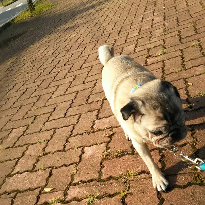 9822d7da b5d4 458f b15d d68bc65d6689