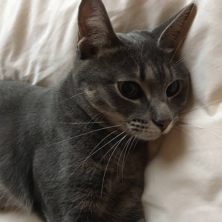 9822fb0a e79d 4cdc 8c7d 9bf3de817a66