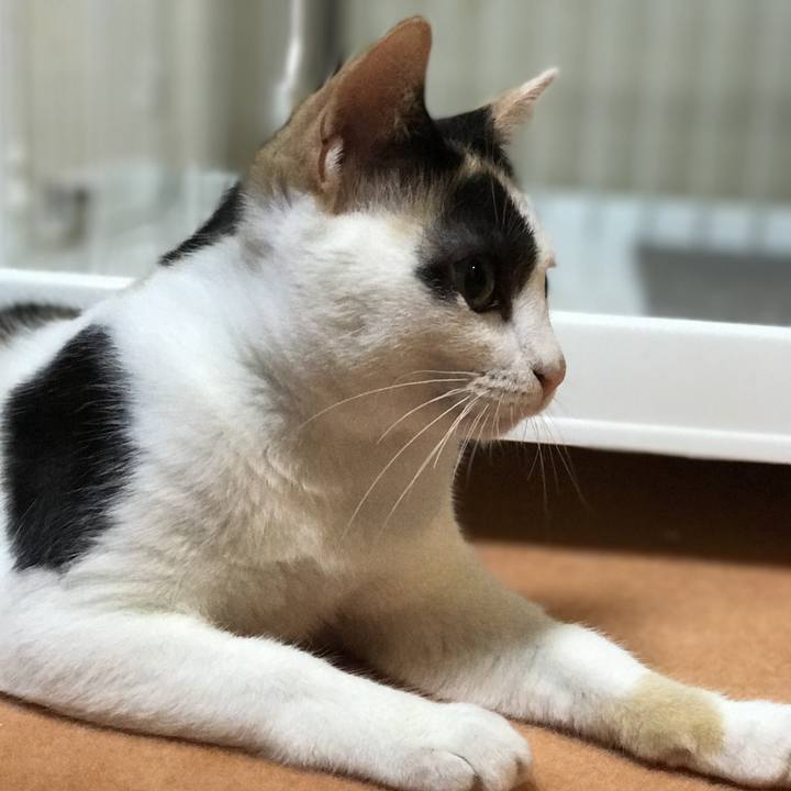 9823e6e8 4255 4900 a0de 6f37da932127