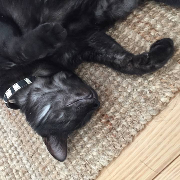 9823fd69 e5d7 4e11 ae91 f81992544940