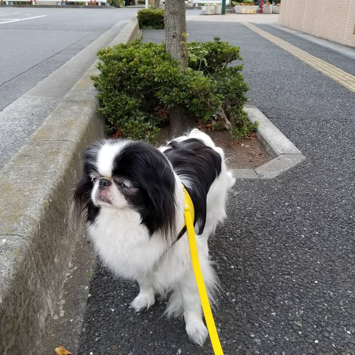 9824b490 0176 4730 a654 8cba35fe2a50