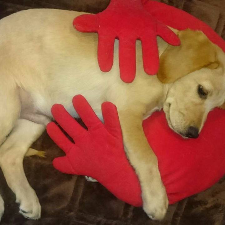 9824f87e 9710 436d aaa5 1368ea84e73d