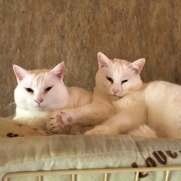 982564bb 5541 4d16 93c7 357a35079195