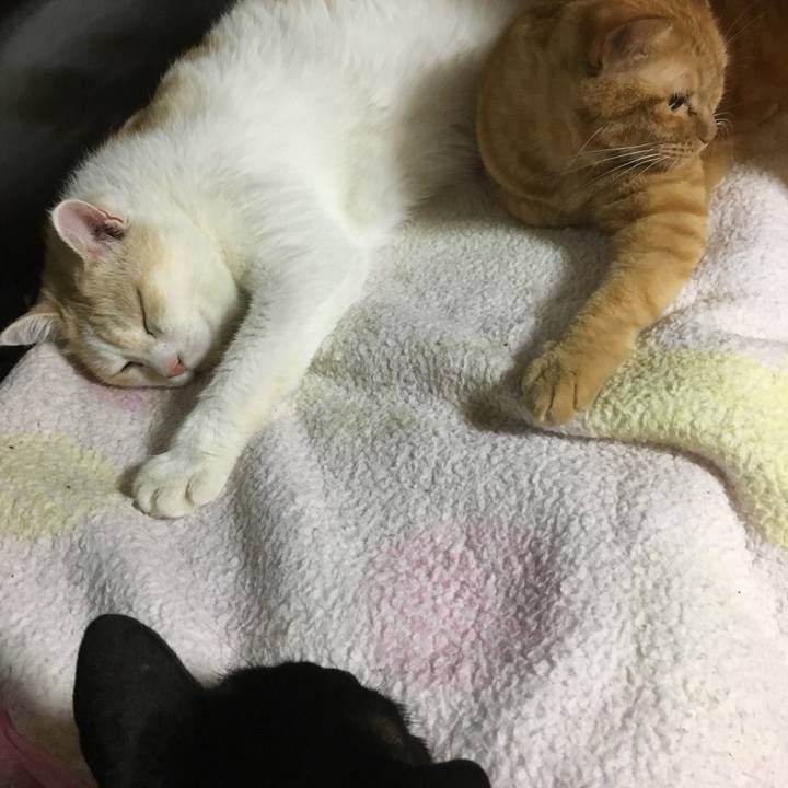 98257b5f a6fd 4915 af96 6e667c90a812