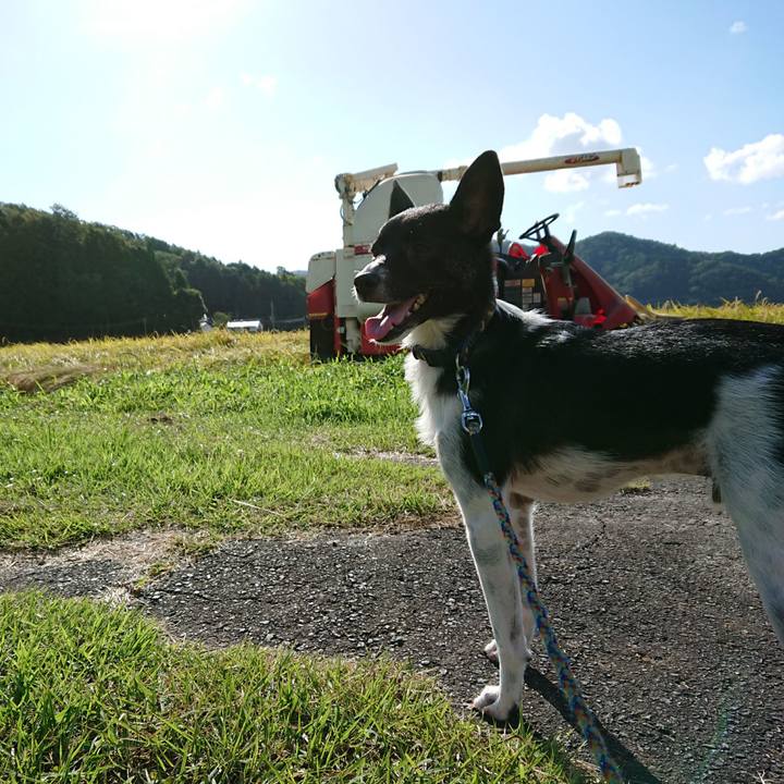 9825b7d8 611b 4e8a b527 7280cc1d63c5