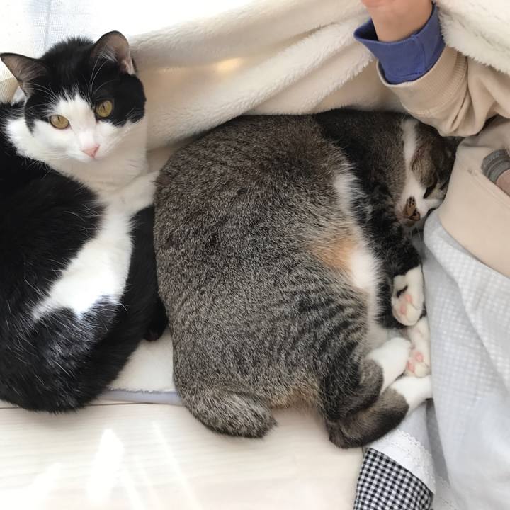 9826d95c a237 499c 8020 f936e0e5a657