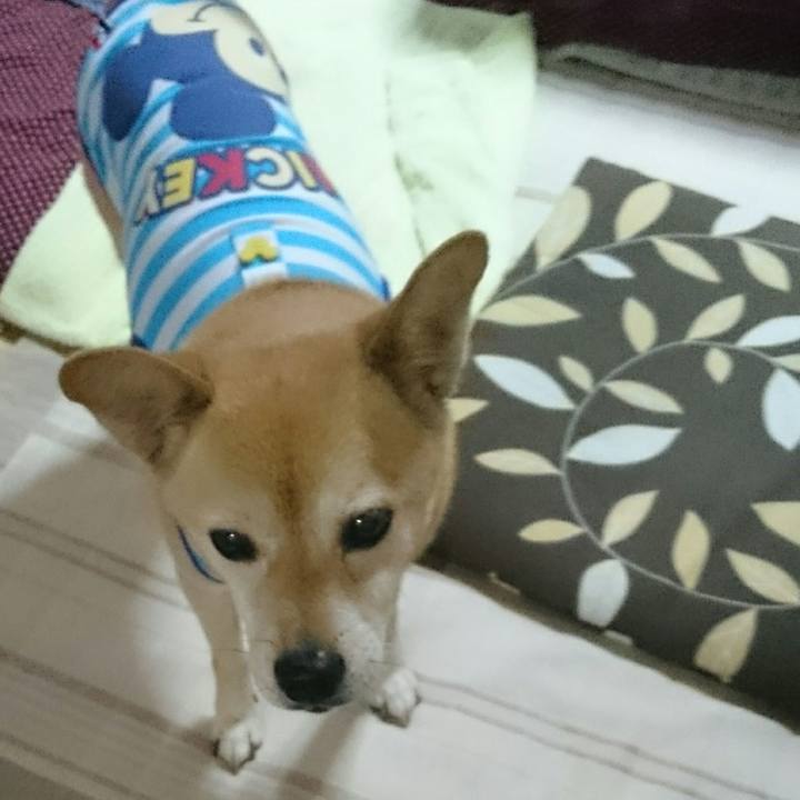 98274bbc f876 4e7a ab9f 91fda668f816