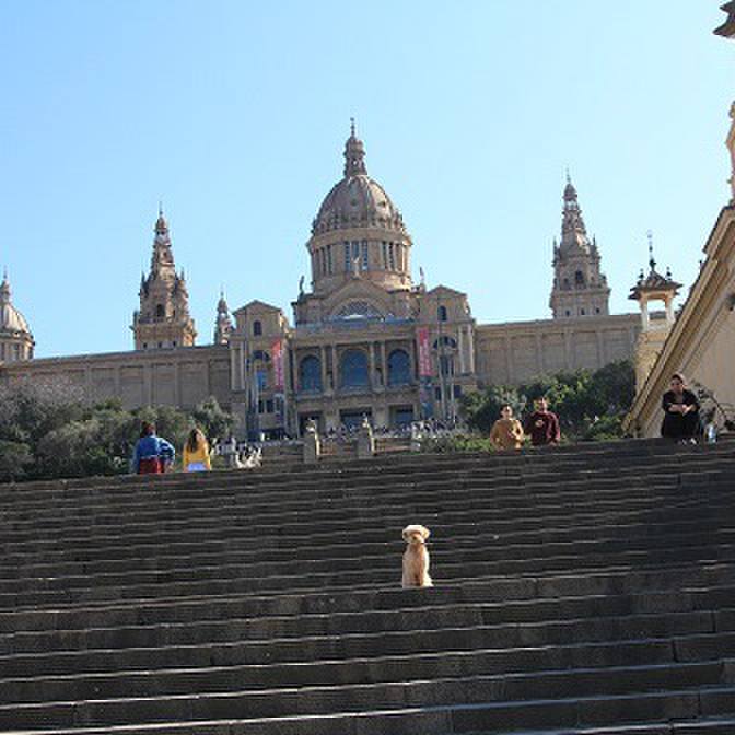 98276d58 b1d3 41ca 91f8 93634dfe8023