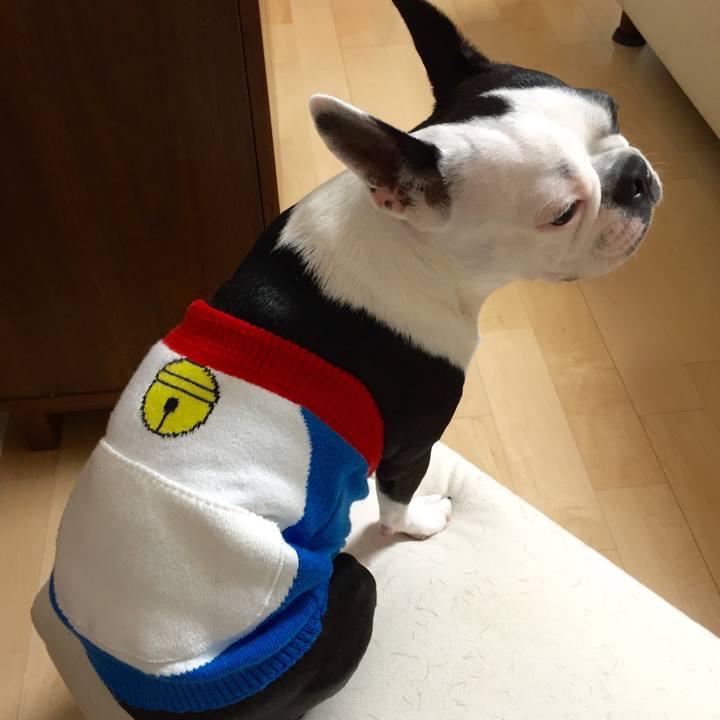 9827eb10 3707 46b1 b422 eff96f53fdfa