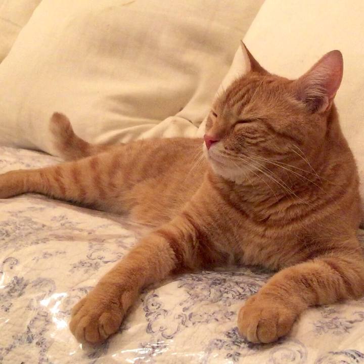 98284105 0143 4ed4 869b a01e7a0f1817