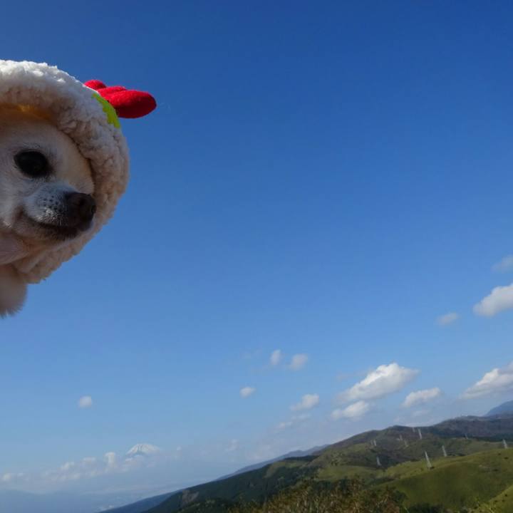 982889b0 b68a 4fb6 aea3 4ddda382ac06