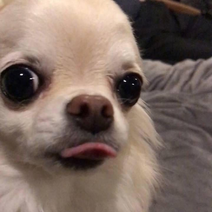 98293173 1320 4c67 b5dc e585965c9dae