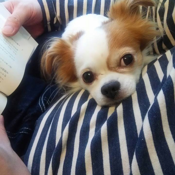 98295e8a 0f54 4634 b887 b1390fd6b877