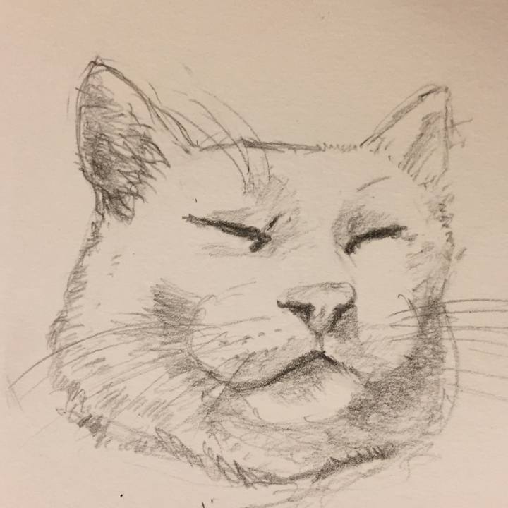 98296c26 bd9c 4ed8 8392 5f9e612ce928