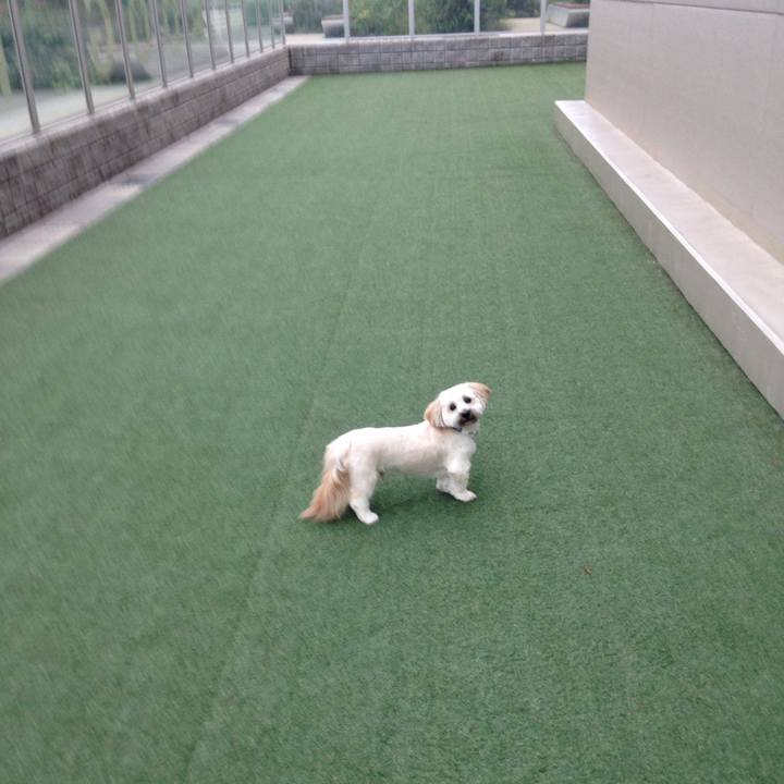 982983c8 9176 4212 8fed 584846cc1be5