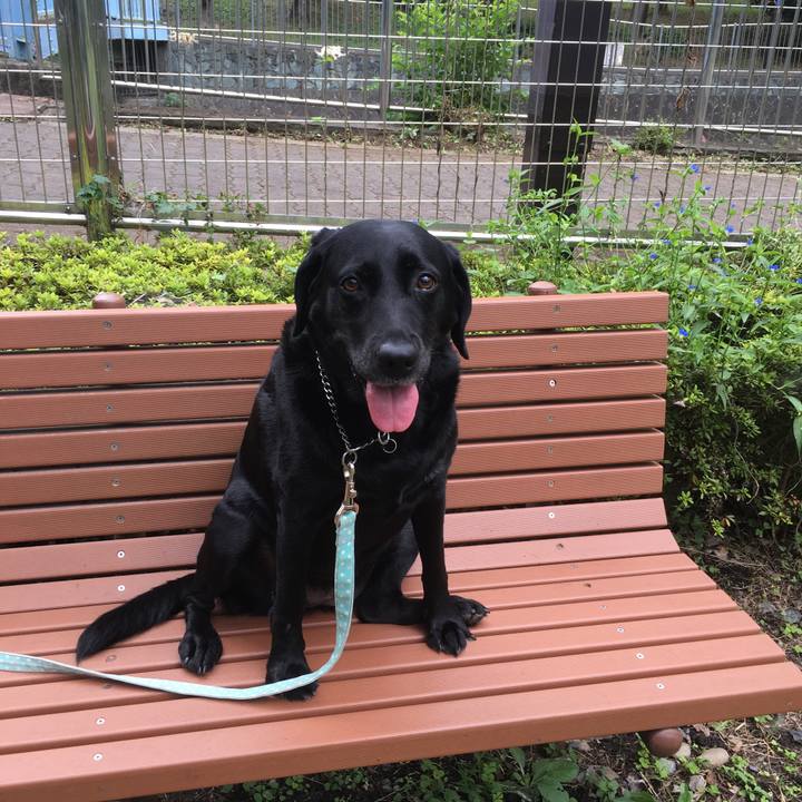 98298720 d1e8 434e 9996 1151dbb44621