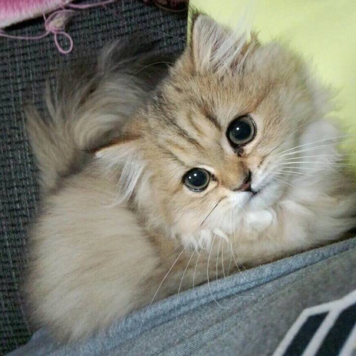 9829a110 1af4 4c18 b199 88f8ff7a9255