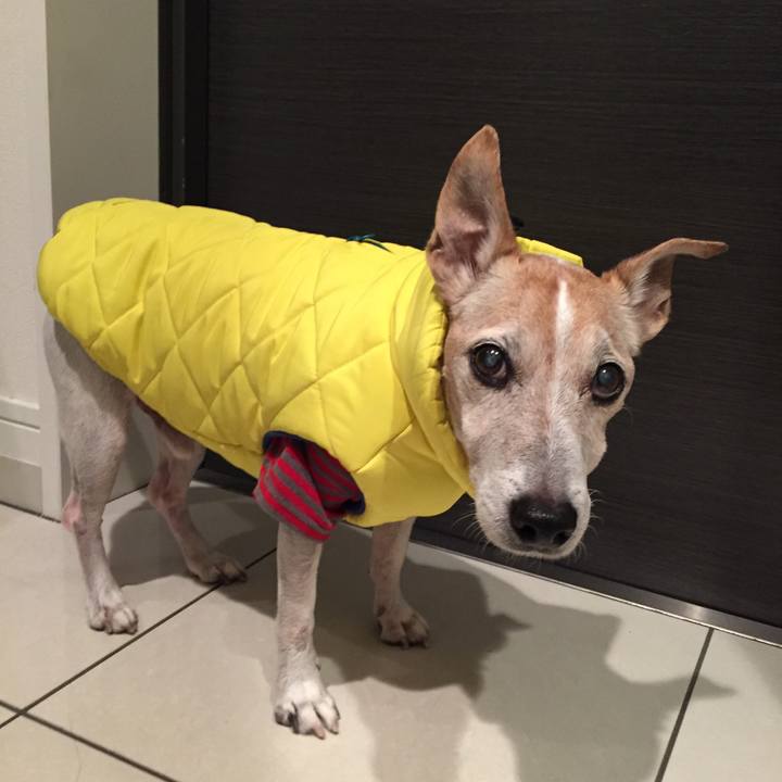 9829fe54 27d7 4856 af28 8d792dcf34c4