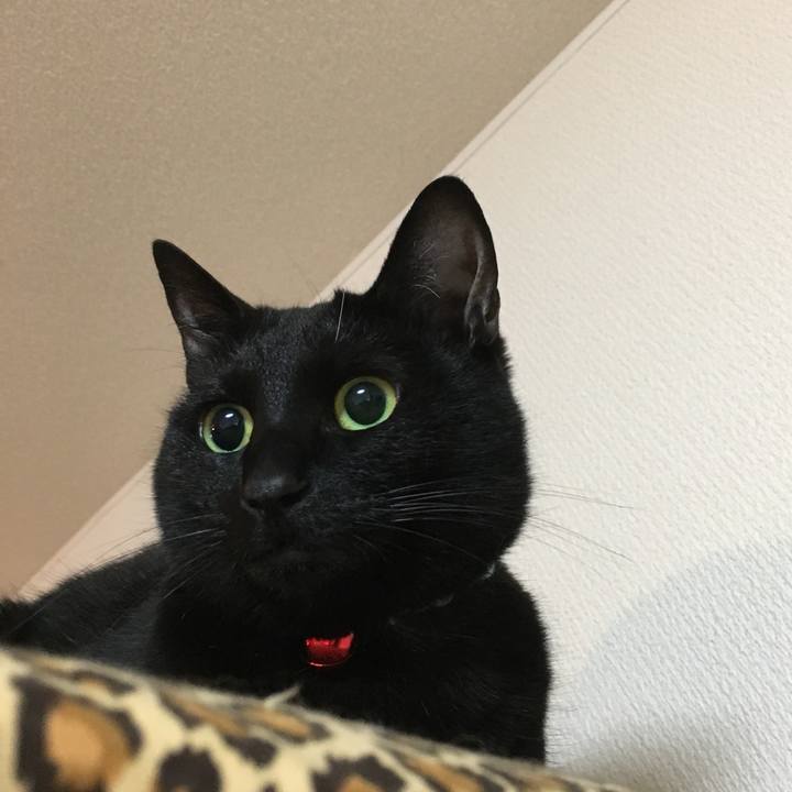 982a1a5b c3bd 4359 978c d6f78ee79d49