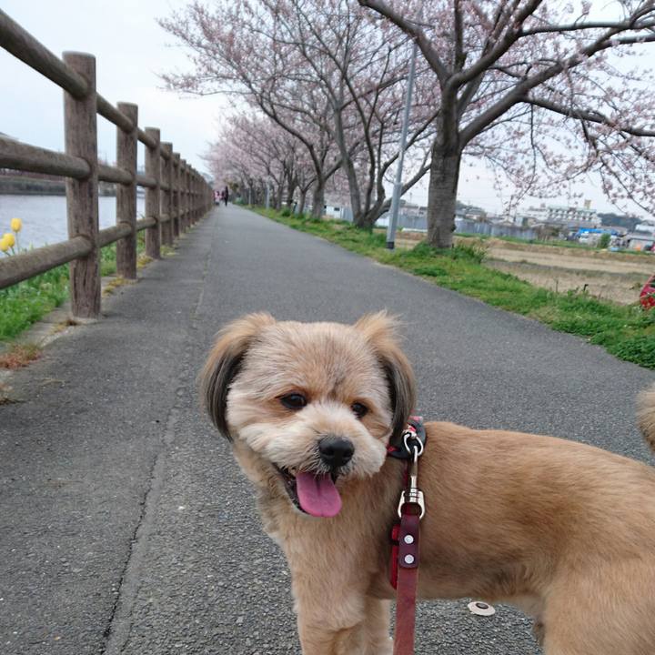 982a22b8 7cf4 4875 a496 aec705c5d30f