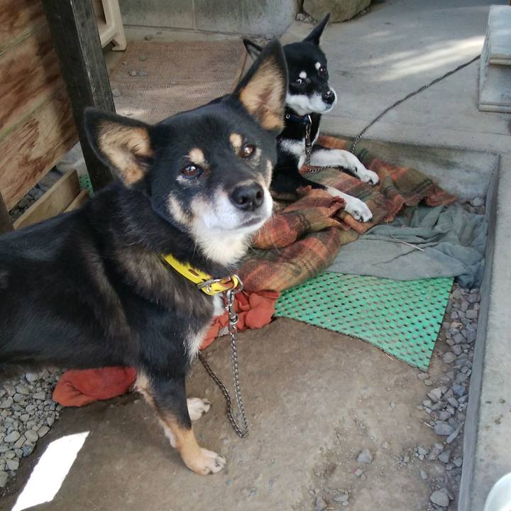 982a3e69 d513 4029 8f60 c42b127805ff