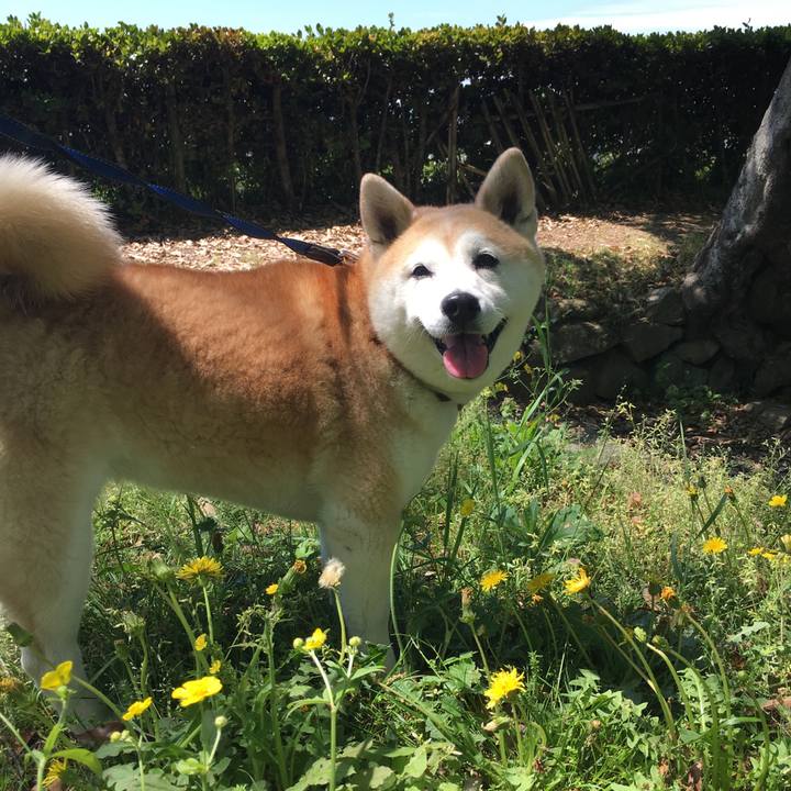 982a6f95 3568 4379 9a03 d5b12a3a5f59