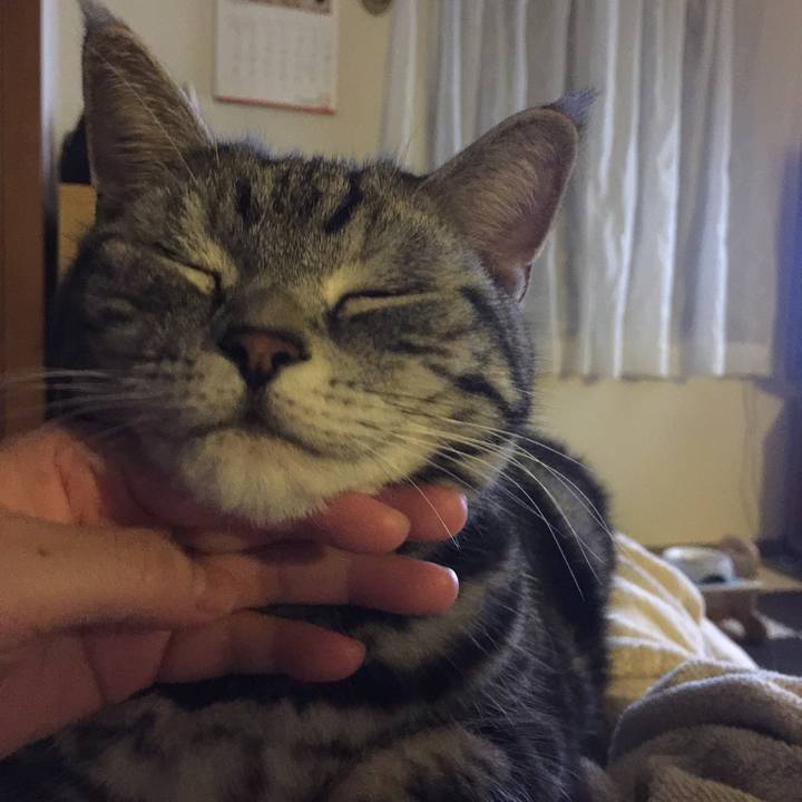 982a93d9 f277 48c6 bcc4 66afef20f289