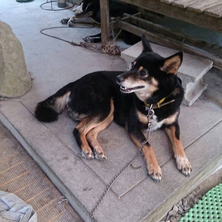 982aa633 c5a0 48a2 af78 82f394fd6892