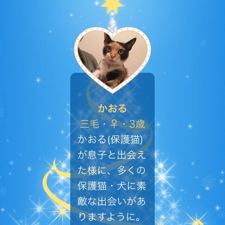 982b2e0b 1f62 4a97 be98 ae00ece79046